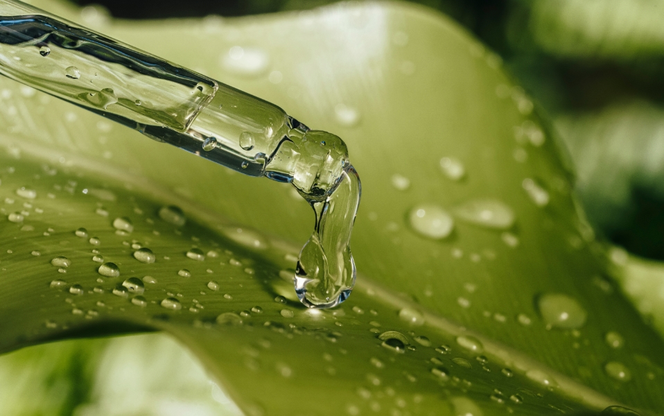 Otulająca pielęgnacja każdego dnia